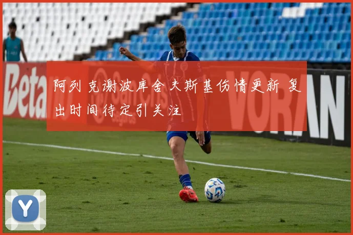 阿列克谢波库舍夫斯基伤情更新 复出时间待定引关注