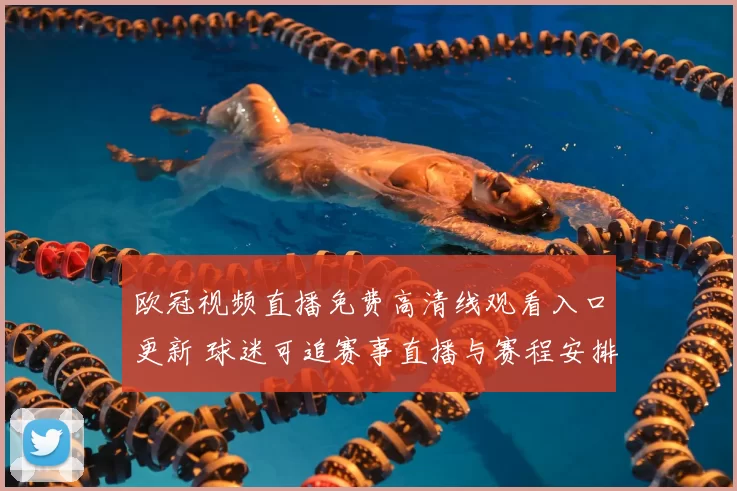 欧冠视频直播免费高清线观看入口更新 球迷可追赛事直播与赛程安排